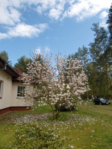 Künstler-Villa Ambrosian Apartment Magnolia