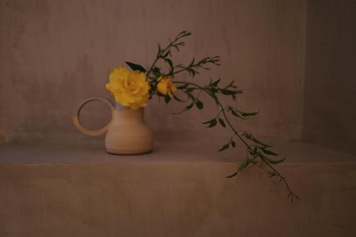 Can Arabí - image 3