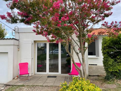 PETITE MAISON CHALEUREUSE ROYAN gîte à louer Royan