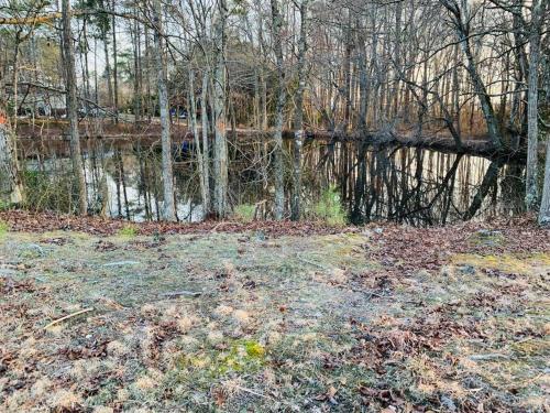 Mountain Vibes at Hidden Pond Lodge - 3beds/2bth detail