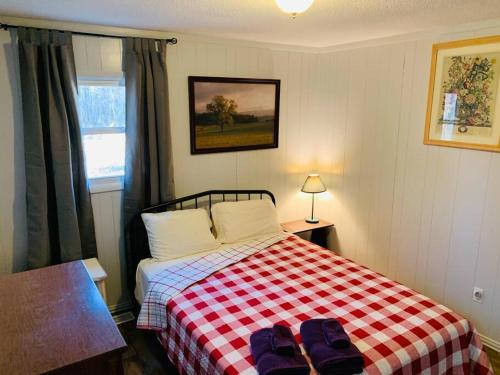 Mountain Vibes at Hidden Pond Lodge - 3beds/2bth detail