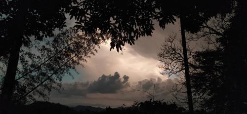 Leeland Munnar, Munnar (photo 10)