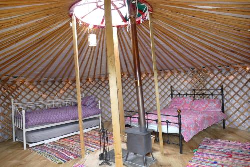 Chestnut Yurt award winning Wych Elm Glamping gîte à louer Kennack Cove