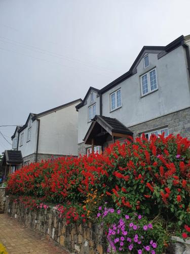 Lakeside Cottages