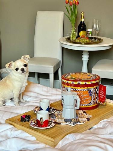 My Guest in Florence, Florencie (fotografie 6)