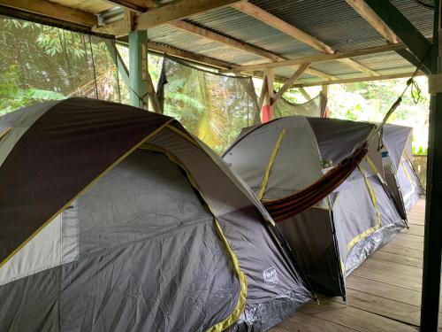 Hostal Camping La Y Griega