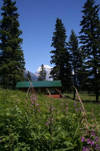 Accommodation in Mount Robson