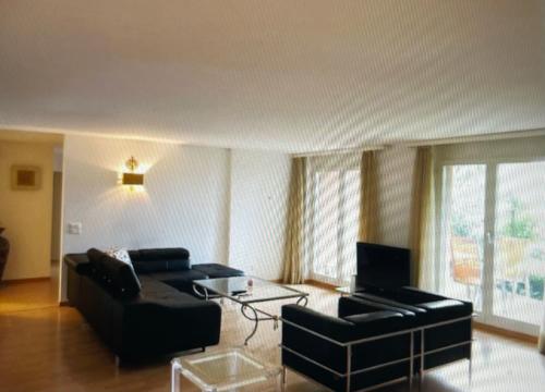 Shared lounge/TV area, Centrally located, Spacious Modern Apartment in Höngg