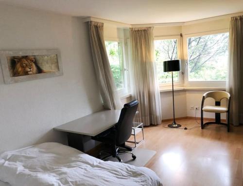 Centrally located, Spacious Modern Apartment, Zúrich (foto 6)