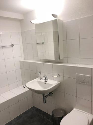 Centrally located, Spacious Modern Apartment, Zúrich (foto 5)