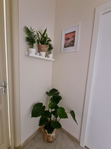 Etna Ocean Rooms 4