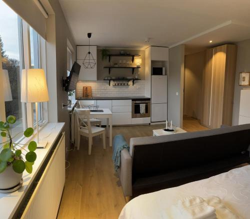 Studio apartment in Hafnarfjordur