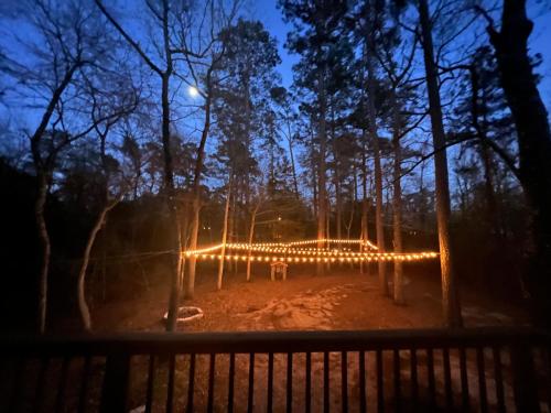 2 BDRM Treehouse Hideout- Lake Conroe with Boat ramp in Montgomery, USA