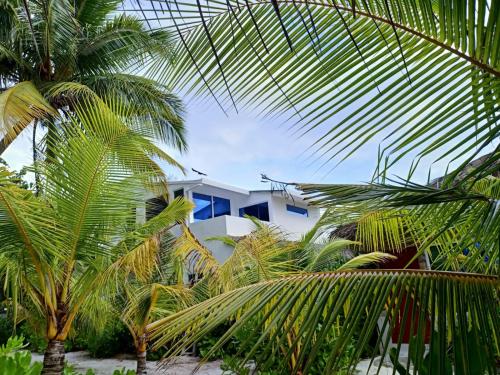 Exterior view, Island Life Maldives Retreat & Spa in Faafu Atoll