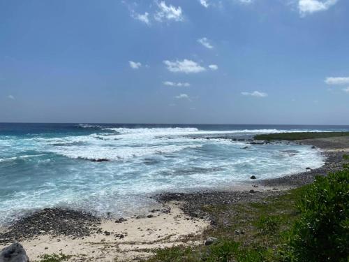 Surrounding environment, Tube18 in Green Island