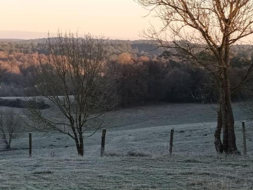 GÎTE AUX BOIS D'EN TEMPS