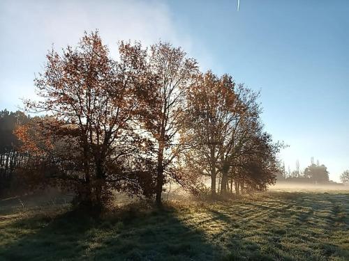 GÎTE AUX BOIS D'EN TEMPS