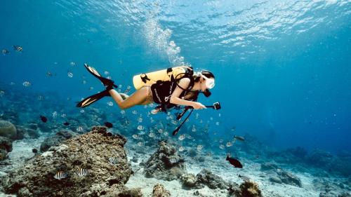 Attractions, Tube18 in Green Island