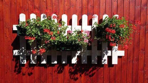 Hotel Napsugár - image 12
