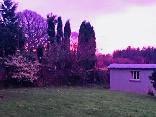 Outstandingly situated cosy Shepherds Hut - Longhope