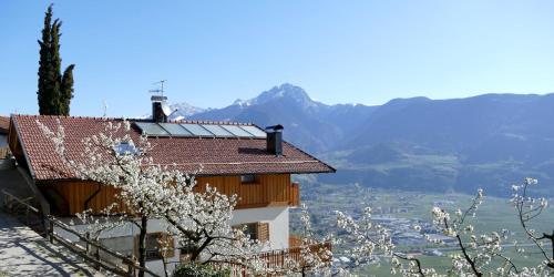 Der Luemerhof - Apartment - Marlengo