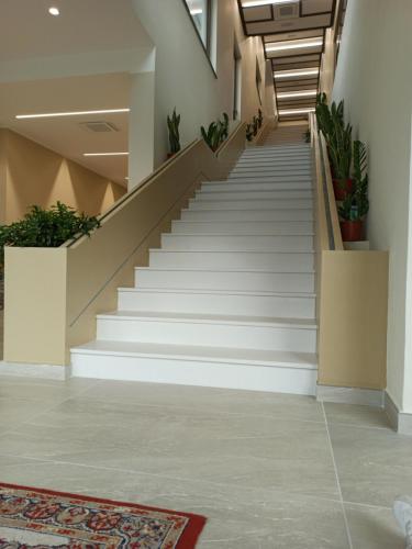 Hotel Primavera Dell'Etna - image 6