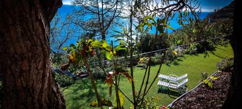  Torre Bella Gardens, Arco da Calheta bei Quinta do Almeida