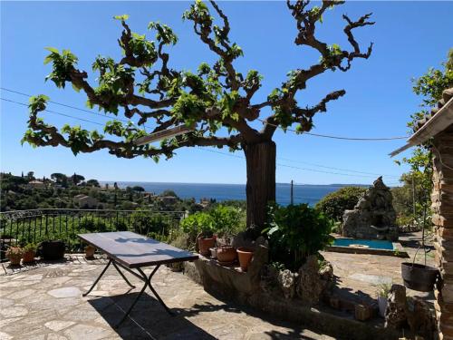 Villa Provençale avec vue mer panoramique - Accommodation - Le Lavandou