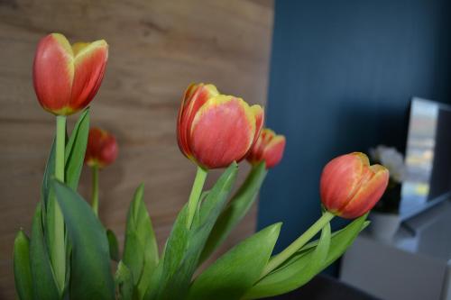 Apartament Justynka