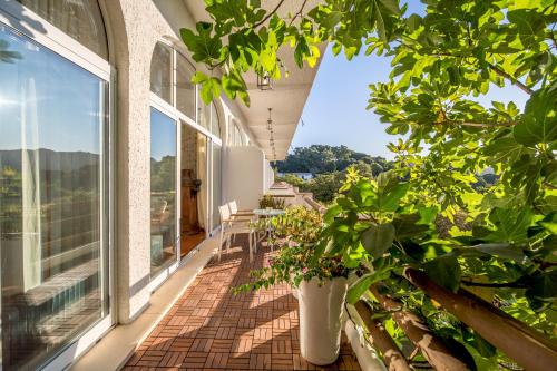 منظر, ميزون دو سانشو (Meson de Sancho) in El Bujeo