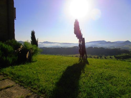 Villa Colticciola Agriturismo Marche