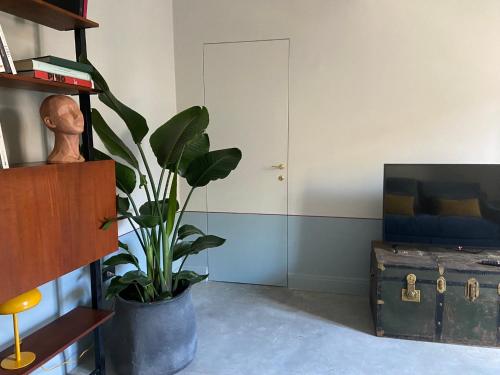 Maison B, Mantova (foto 5)