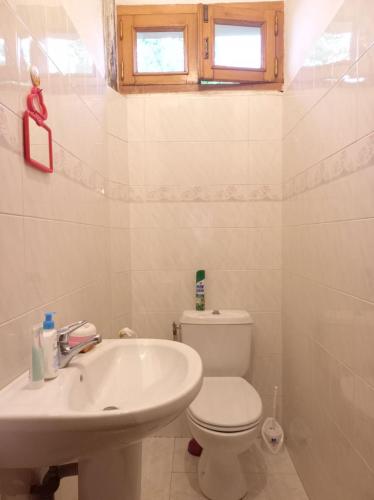 Сибиряк Sibiryak, Цхалтубо (фото 3)