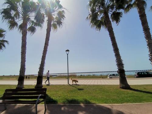  Cubelles Mar in Cubelles