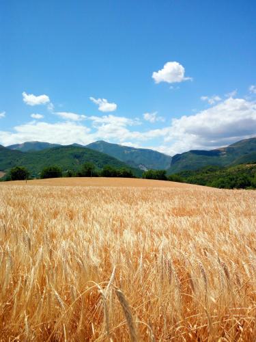 Agriturismo del Frontino - Lo Studio