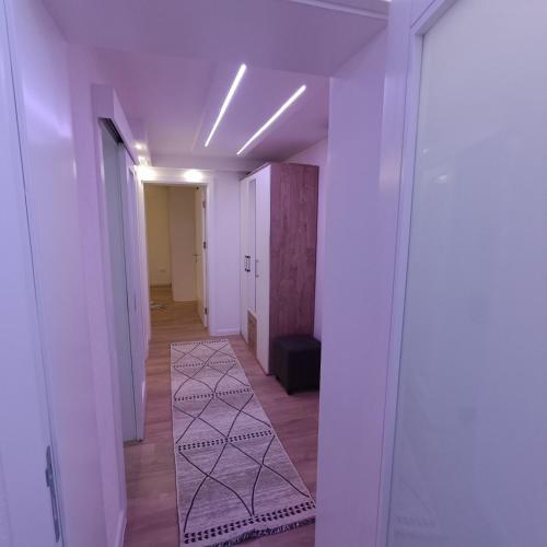 One-Bedroom Apartment image 7