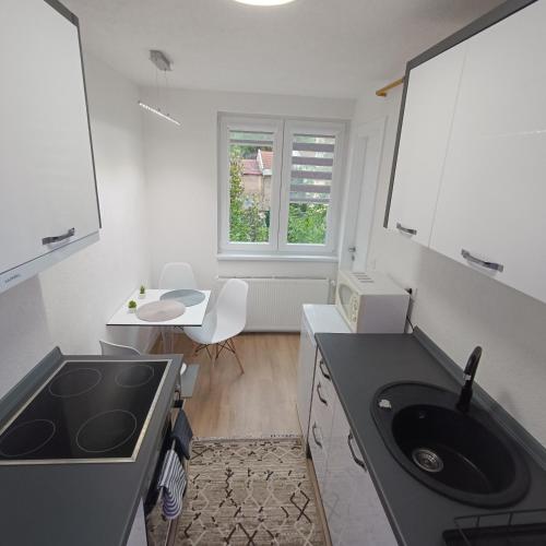 One-Bedroom Apartment image 6