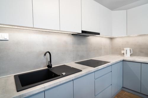 кухня, Apartament Zielony Przylądek (Apartament Zielony Przyladek) in Brwinow