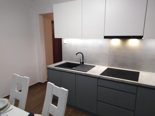 кухня, Apartament Zielony Przylądek (Apartament Zielony Przyladek) in Brwinow