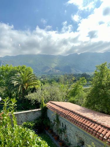 Hotel La Arquera - image 12
