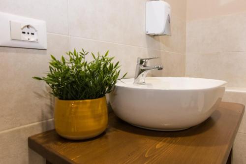 Dimora Lupo_LifeStyle B&B - image 4