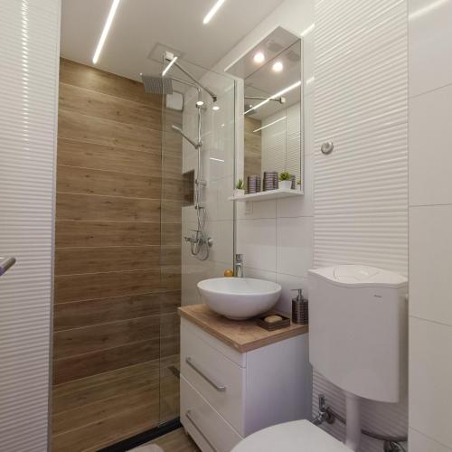 One-Bedroom Apartment image 2