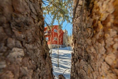 Enjoy the Creek Surrounded by High Mountain Peaks - Creekside Mountain Cabin