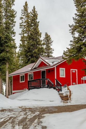 NEW RENTAL - Cozy Cabin with Stunning Views - Crimson Cabin in Fairplay, USA