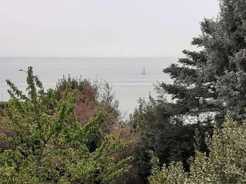 Villa Royan, 7 pièces, 10 personnes - FR-1-494-128 gîte à louer Royan