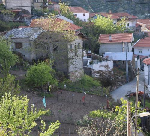 Comfortable rural cottage in ancient village in the Douro region - main image