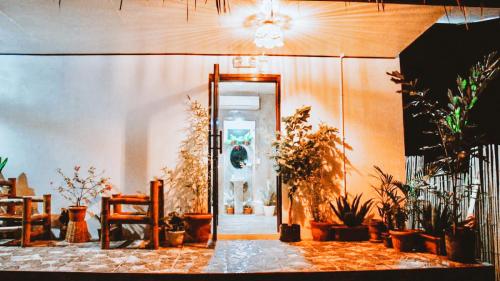 Palvelut, The Hangover Hostel in Moalboal