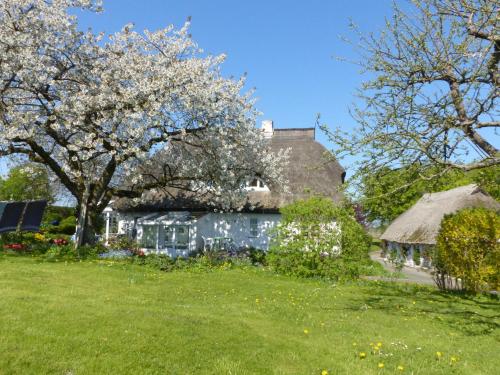 Ferienwohungen im Feriengarten - image 2