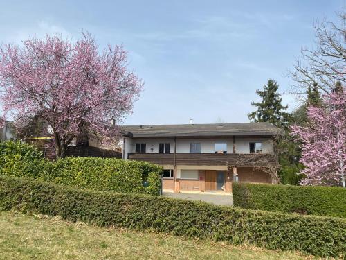 Apartments in Leafy Suburb - Kehrsatz