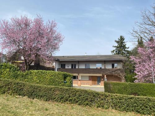  Apartments in Leafy Suburb, Pension in Kehrsatz bei Niedermuhlern